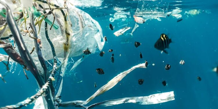 A fish swimming next to plastic in the sea.