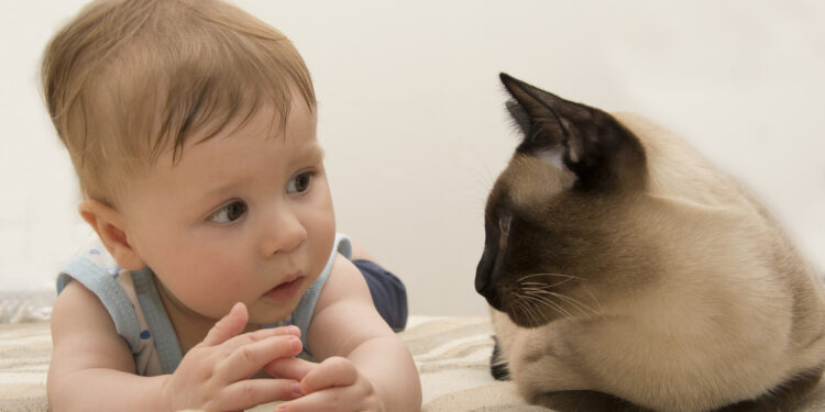 baby talking to a cat