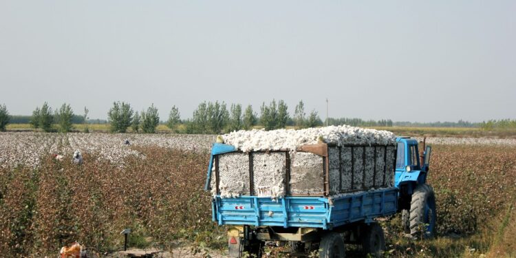 Better Cotton Signs Roadmap for Sustainability in Uzbekistan