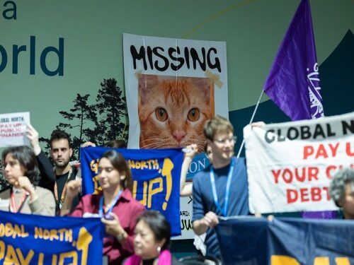 cop29 activists