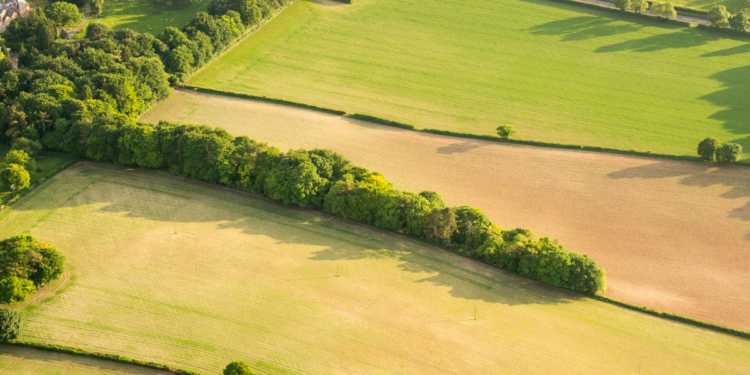 Can Defra prove that nature-friendly farming is value for money? – Inside track