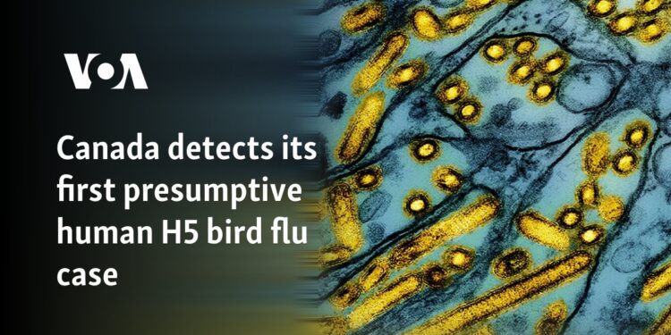 Canada detects its first presumptive human H5 bird flu case