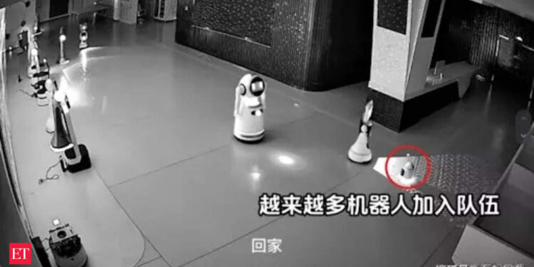 'Come home with me': Tiny robot has emotional conversation with 12 bigger robots before 'kidnapping' them