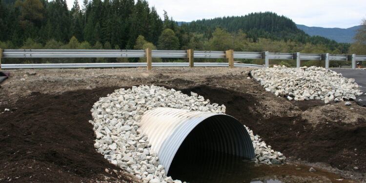 Culverts- the unexpected partner for wildlife connectivity