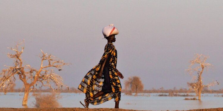 A woman in a black dress with pineapples printed on it walks along an earthen dyke with a package on her head. On the other side of the dyke are several trees surrounded by flood water - Bentiu, South Sudan