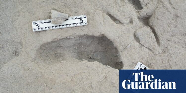 Footprints in Kenya ‘show distant relatives of modern humans coexisted’