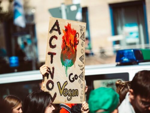 protest go vegan