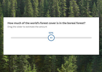 Forest quiz: Amazing boreal forest facts