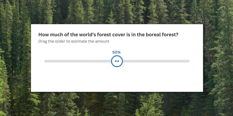 Forest quiz: Amazing boreal forest facts