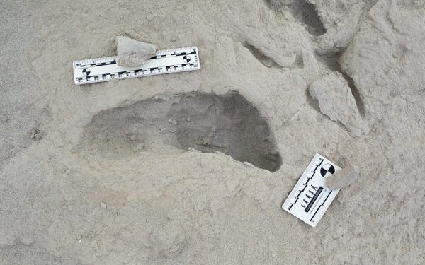 A footprint hypothesized to have been created by a Paranthropus boisei individual.