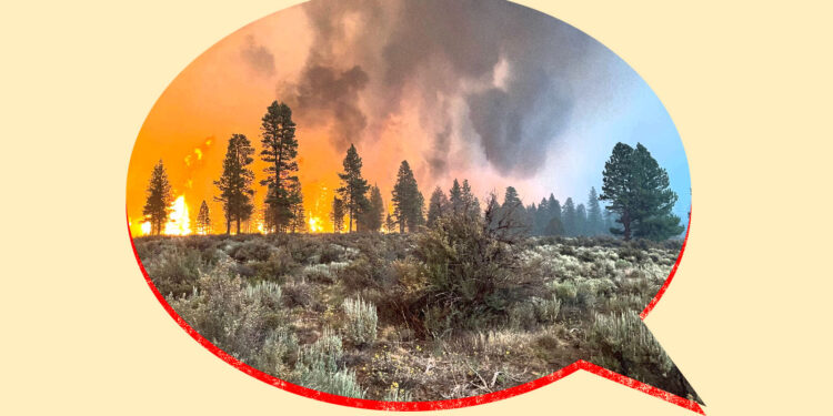 Collage: photo of a wildfire inside of a speech bubble