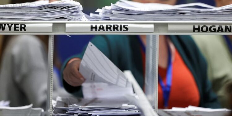 © Reuters. Electoral workers sort ballot papers, during Ireland's general election, at the count centre, in Greystones, Ireland, November 30, 2024. REUTERS/Toby Melville