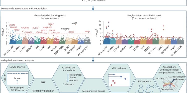 Large-scale genetic study identifies 14 genes linked to neuroticism