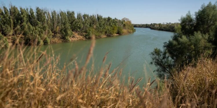 A greenish river cuts through forest and yellow grass