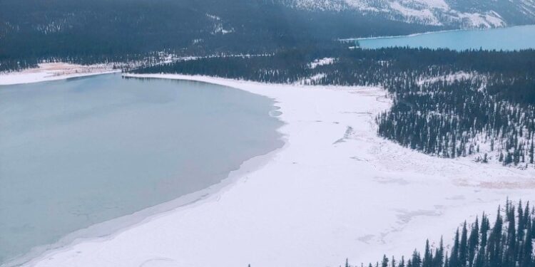 Hiker Sam Benastick was reported missing after he did not return from a camping trip to Redfern-Keily Provincial Park in British Columbia, Canada.