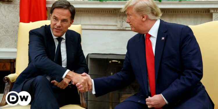 NATO chief Rutte talks security with Trump in Florida – DW – 11/23/2024