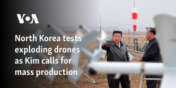 North Korea tests exploding drones as Kim calls for mass production