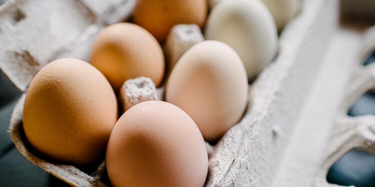 Organic eggs sold at Costco recalled over salmonella concerns