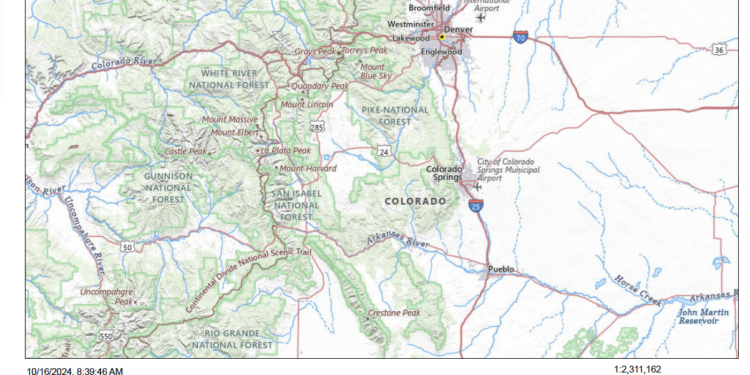 Proposed logging near Denver threatens older trees, species