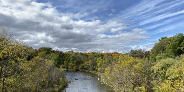 River Reciprocity: Humber River Pals