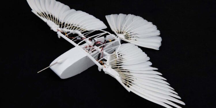 Robotic pigeon reveals how birds fly without a vertical tail fin