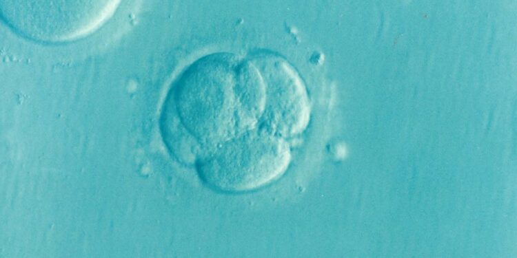 Team behind film about world's first IVF baby hope to spread joy and debate