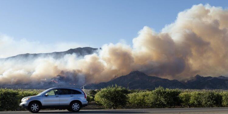 The crops and their paychecks went up in flames: How the Mountain fire hammered farms and farmworkers