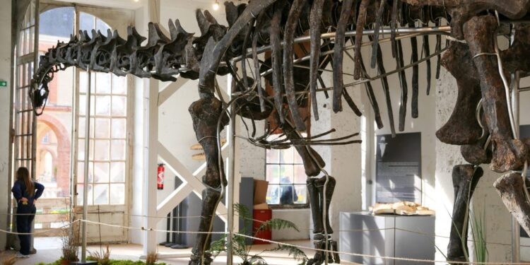 The largest dinosaur skeleton ever sold worldwide fetches â‚¬6 million