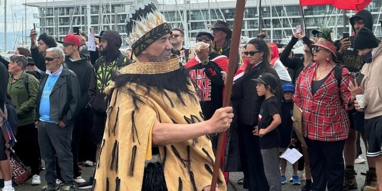 Thousands protesting New Zealand's Indigenous bill set to march to parliament