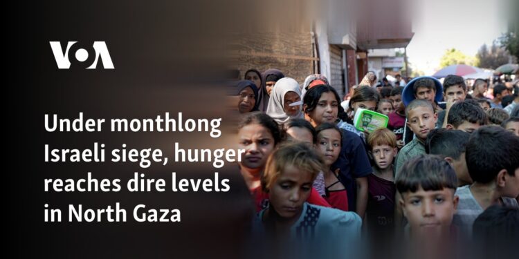 Under monthlong Israeli siege, hunger reaches dire levels in North Gaza