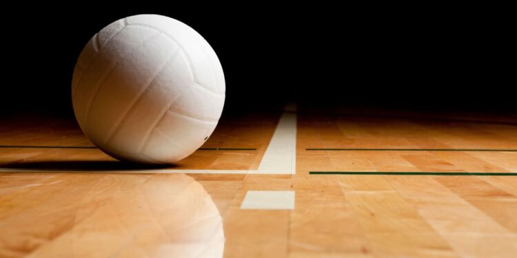 Volleyball league gets $100M investment before Jan. pro launch