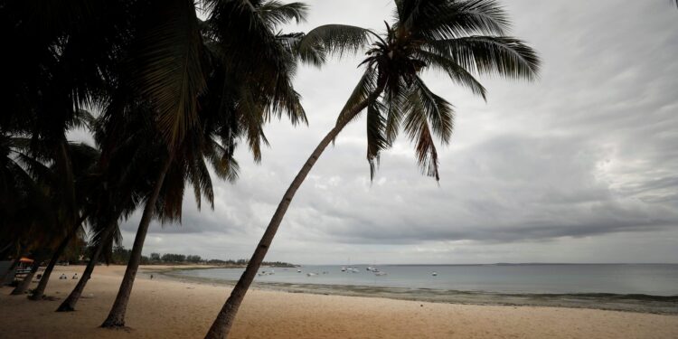 Palms are seen on an empty tourist beach in Pemba, Mozambique, July 13, 2018. Picture taken July 13, 2018. REUTERS/Mike Hutchings