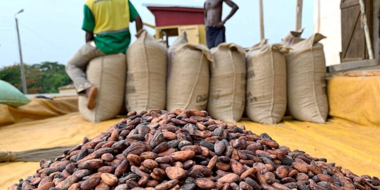 FILE PHOTO: Cocoa beans are pictured next to a warehouse at the village of Atroni, near Sunyani, Ghana April 11, 2019. REUTERS/Ange Aboa//File Photo