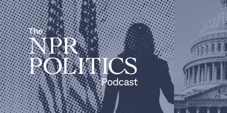 How Did Kamala Harris Lose The 2024 Election? : The NPR Politics Podcast : NPR