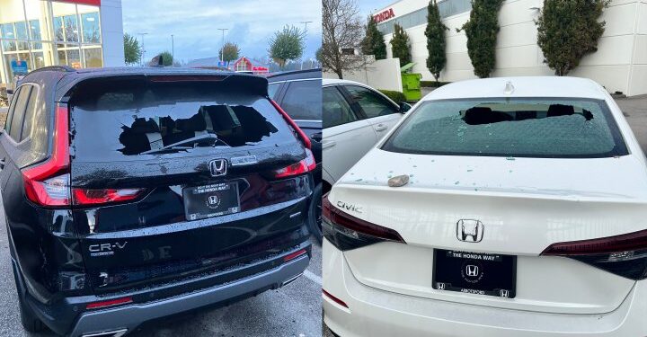 ‘I just want it to end’: Rock-throwing vandals cause $100K damage at B.C. auto dealership - BC