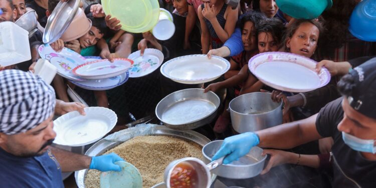 ‘Strong likelihood’ of imminent famine in north Gaza: Food security experts