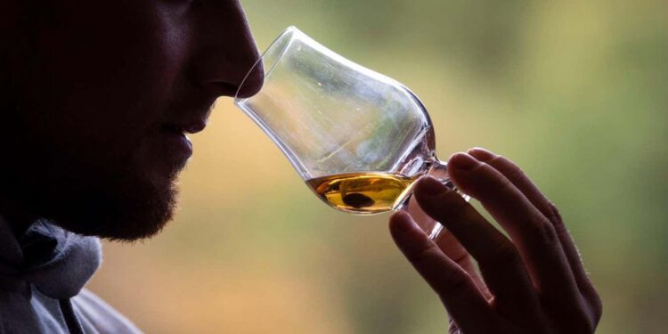 A man testing a dram of 12-year-old Highland single malt whisky