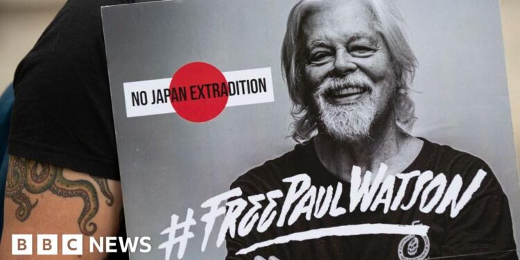 Anti-whaling activist Paul Watson freed in Greenland after five months