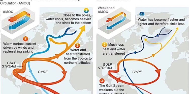 Two side-by-side maps show simplified diagrams of the Gulf Stream today and in a warmer world. In the warmer world, the water in the northern Atlantic has become fresher and lighter and therefore sinks less, so much less heat and water are transferred throughout the AMOC. The Gulf Stream weakens but the portion pushed by winds remains.