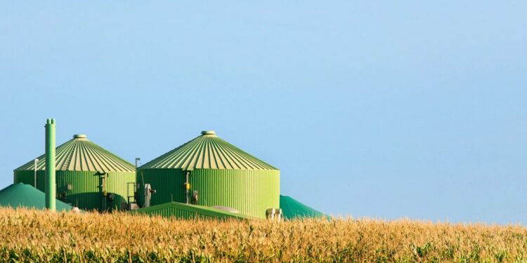 Cylindrical storage vessels in the distance, against a background of clear blue sky and yellow crop fields in the foreground