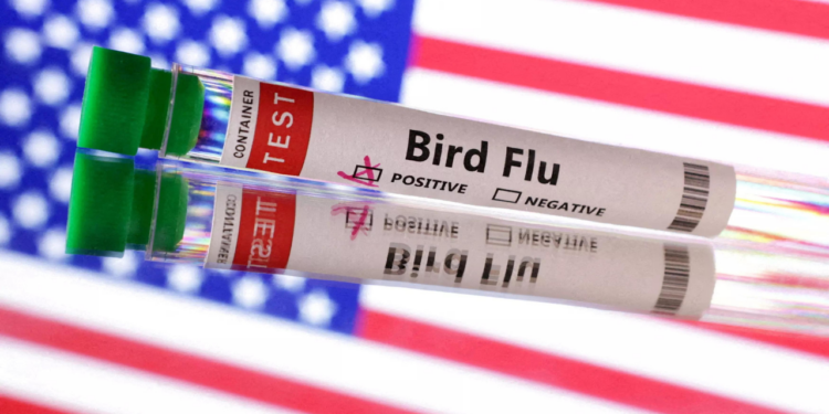 Bird flu symptoms: Bird flu vs regular flu: What are the key differences between both? Symptoms, medications, risks, a complete guide