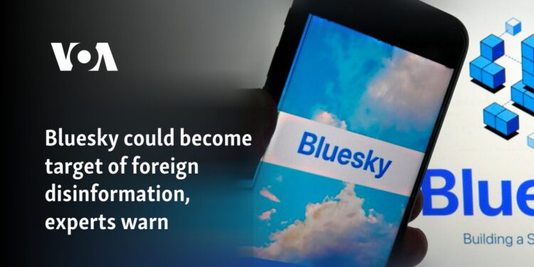 Bluesky could become target of foreign disinformation, experts warn