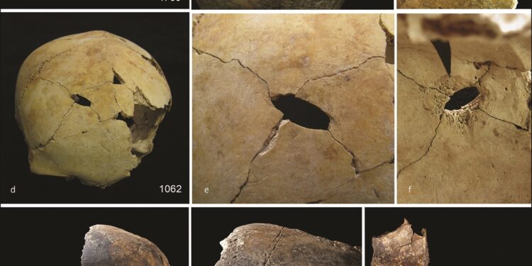 Bronze Age Bones Indicate Violent Death and Possible Cannibalism