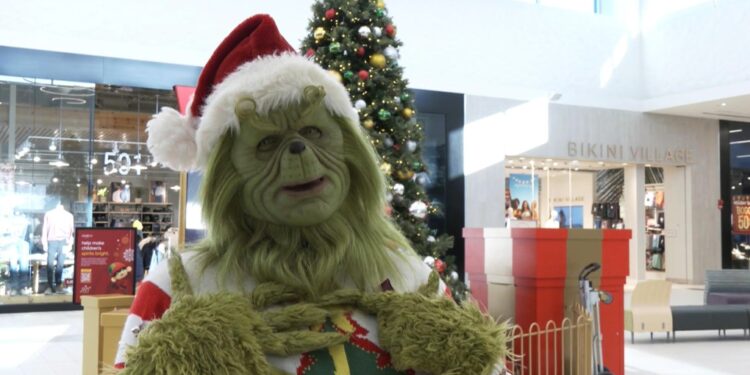 CTV National News: Grinch takes over N.L. mall