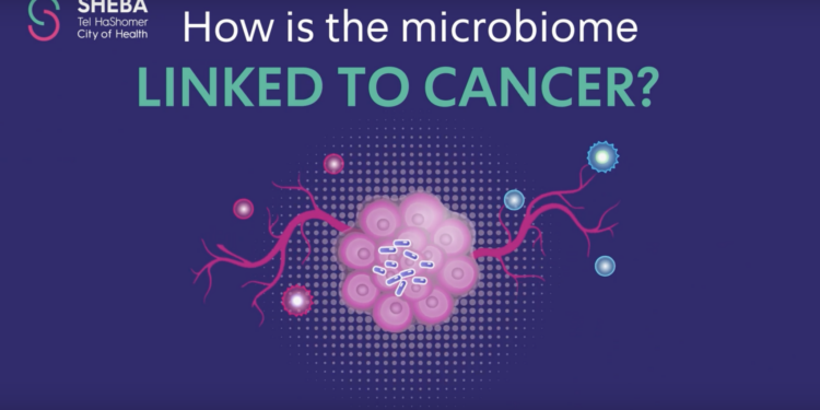 Cancer and the gut microbiome