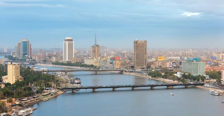 Chinese company invests $300mln in Egypt's green project