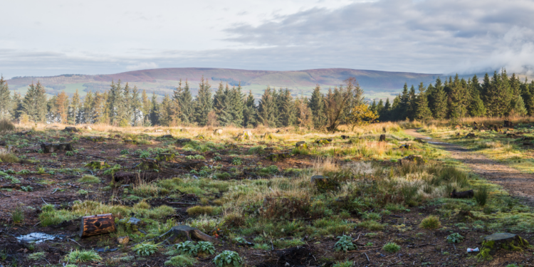 Don’t forget the important role of the public sector in looking after nature – Inside track