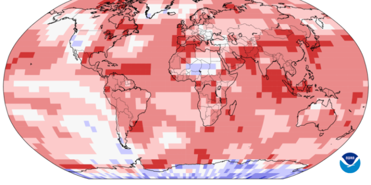 Map showing that most of the globe was warmer than average in November 2024.