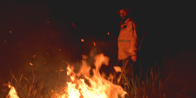 For 60,000 Years, Australia’s First Nations Have Put Fire to Good Use