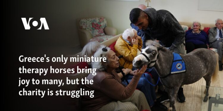 Greece's only miniature therapy horses bring joy to many, but the charity is struggling